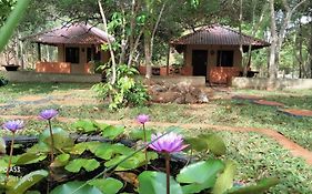 Hotel Niyagala Lodge Sigiriya
