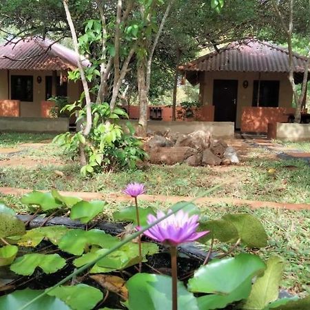 Hotel Niyagala Lodge Sigiriya Buitenkant foto