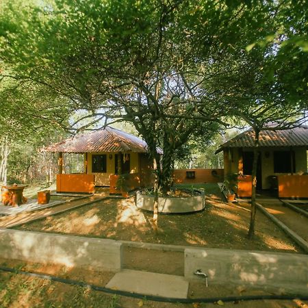 Hotel Niyagala Lodge Sigiriya Buitenkant foto