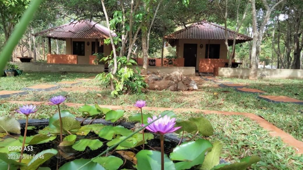 Hotel Niyagala Lodge Sigiriya Buitenkant foto