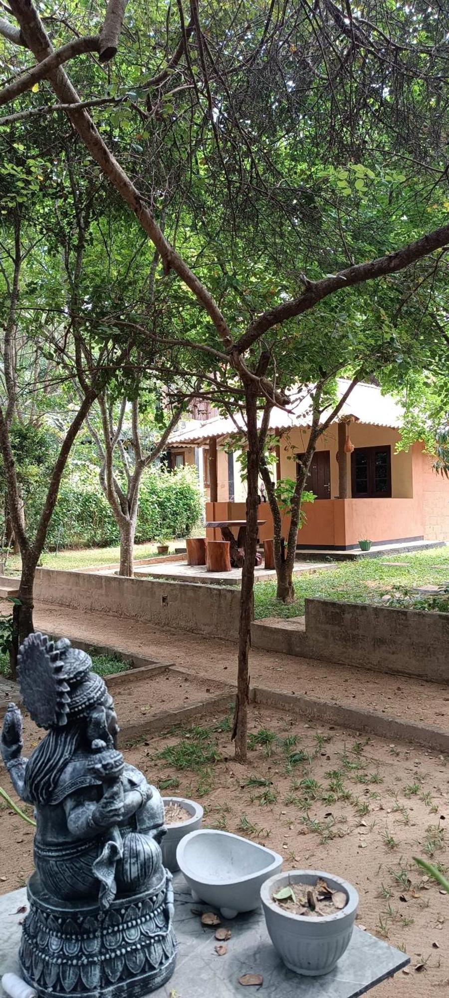Hotel Niyagala Lodge Sigiriya Buitenkant foto
