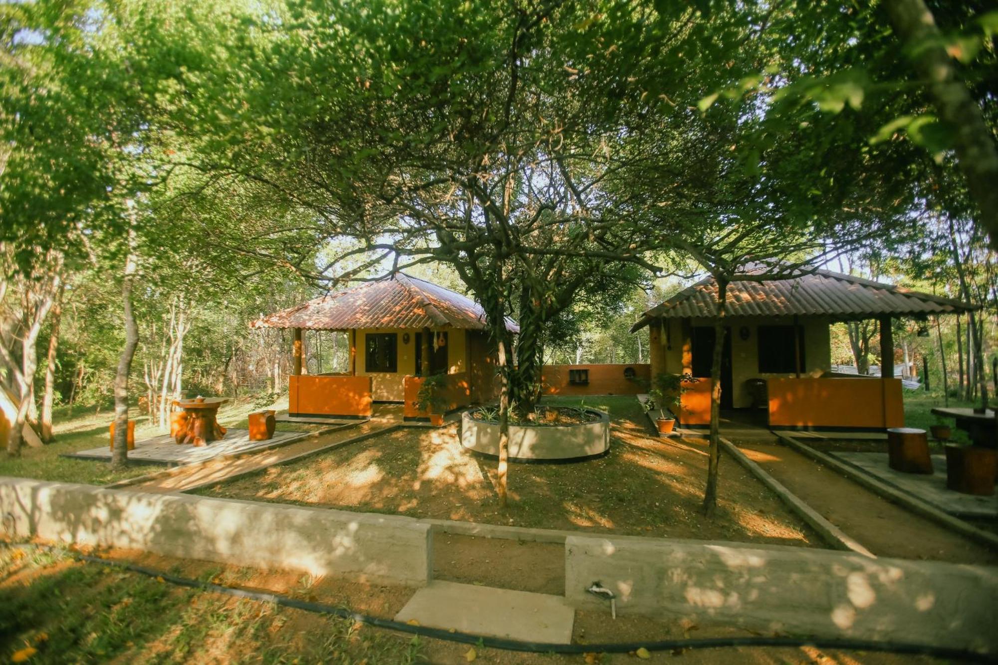 Hotel Niyagala Lodge Sigiriya Buitenkant foto