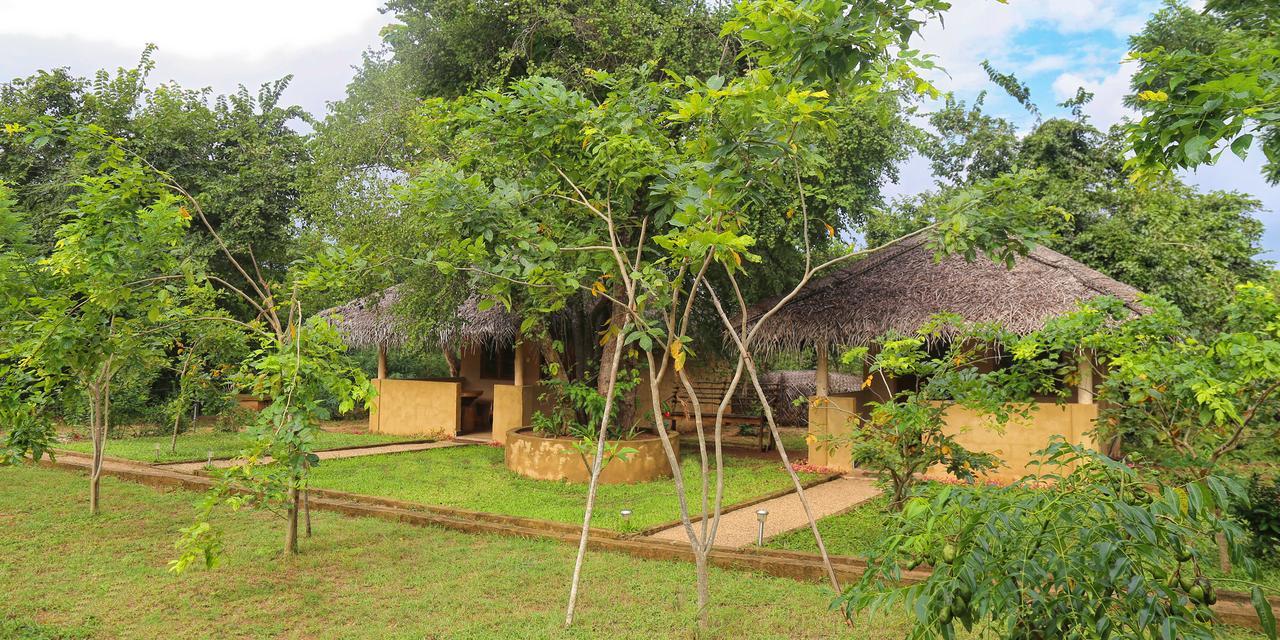 Hotel Niyagala Lodge Sigiriya Buitenkant foto