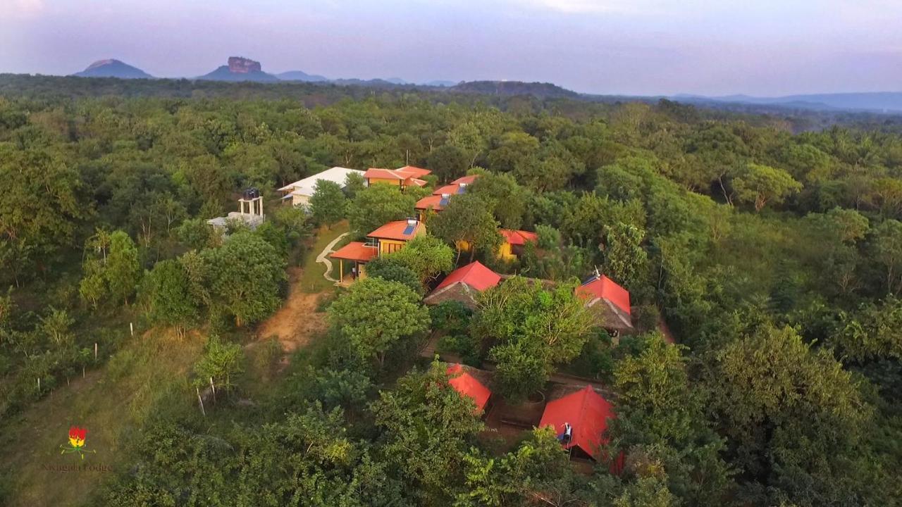 Hotel Niyagala Lodge Sigiriya Buitenkant foto