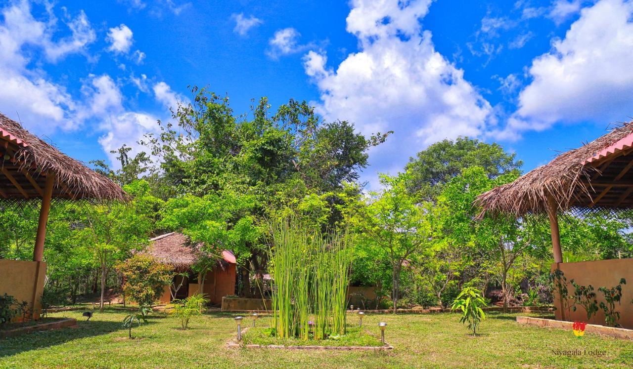 Hotel Niyagala Lodge Sigiriya Buitenkant foto