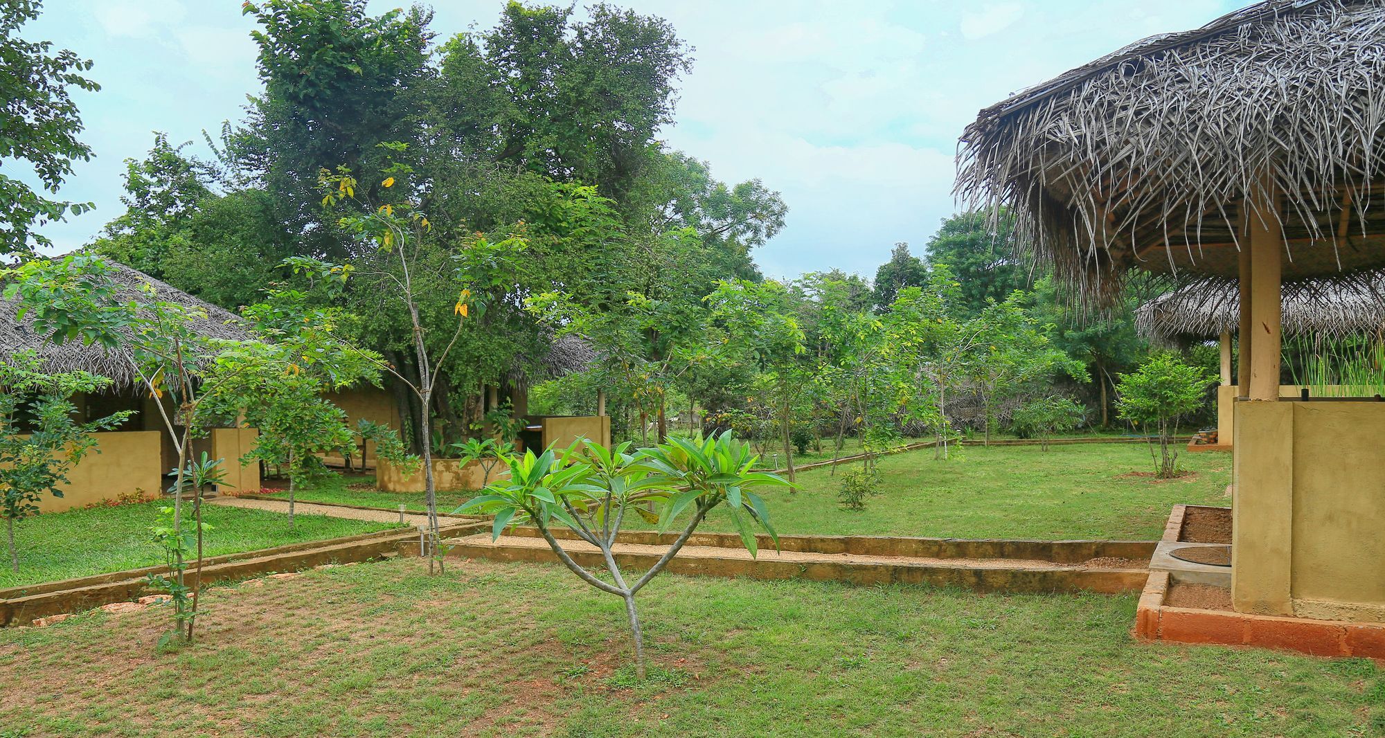 Hotel Niyagala Lodge Sigiriya Buitenkant foto